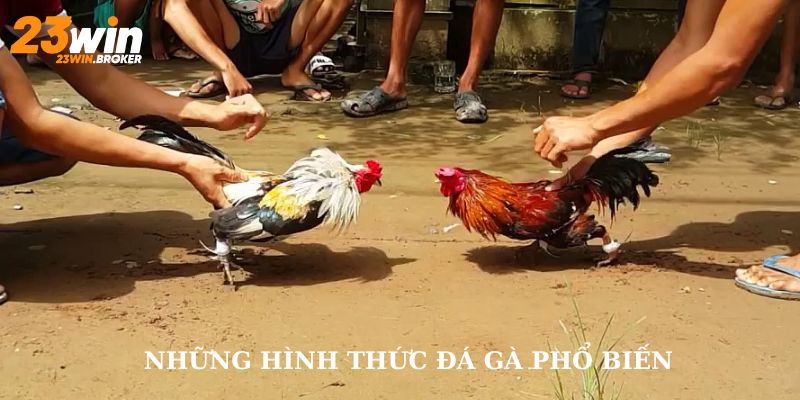 Các hình thức đá gà tại 23Win