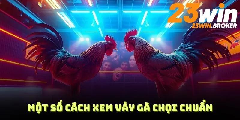 Một số Cách xem vảy gà chọi chuẩn từ 23WIN